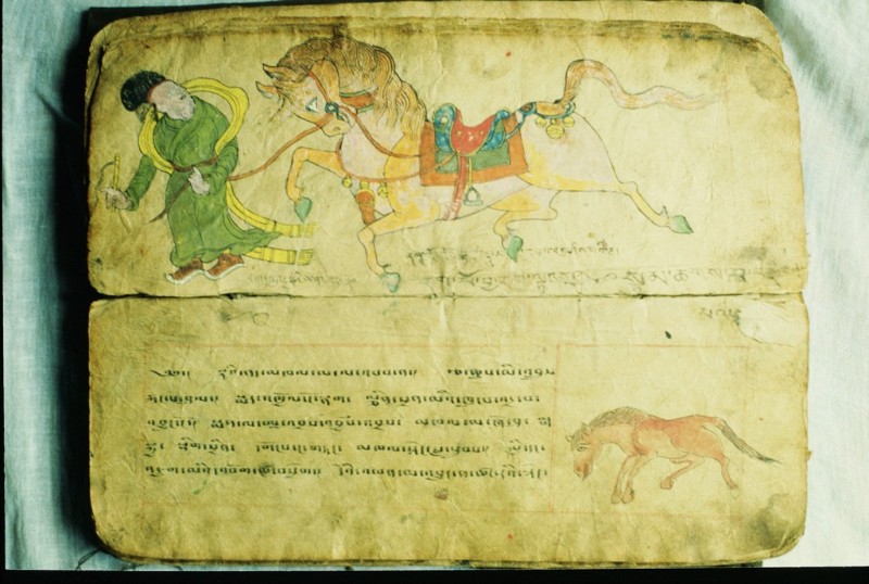 Handschrift zur Pferdeheilkunde. Untere Seite: Behandlung von Nierenkrankheiten Handschrift zur Pferdeheilkunde. Untere Seite: Behandlung von Nierenkrankheiten